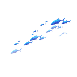 Fish outside box